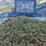 Le Due Cascine Agroturismo San Marzano Oliveto