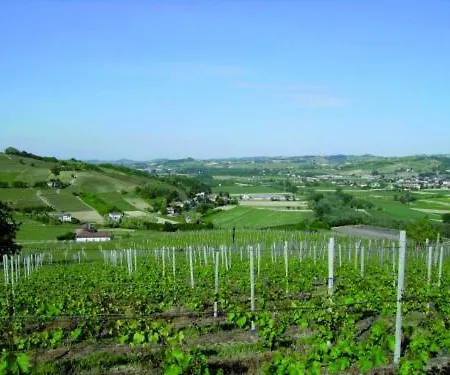 Le Due Cascine San Marzano Oliveto