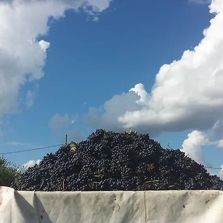 Le Due Cascine San Marzano Oliveto