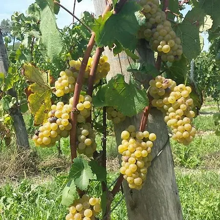 Le Due Cascine *