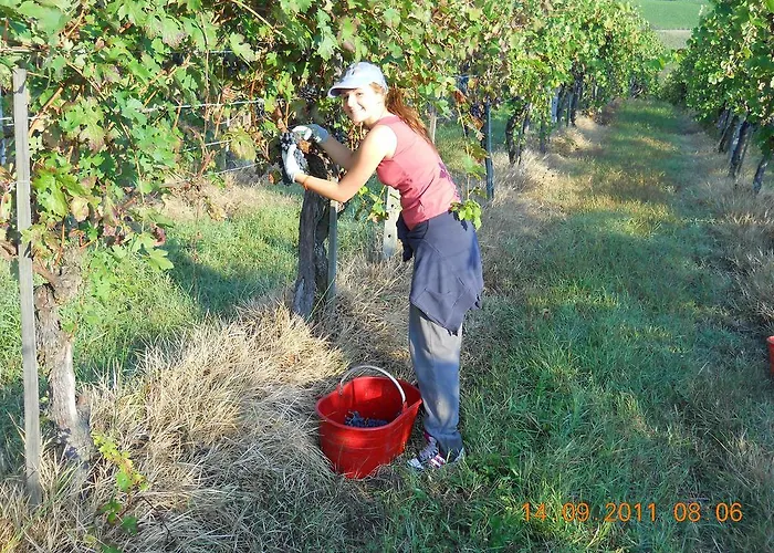 Le Due Cascine