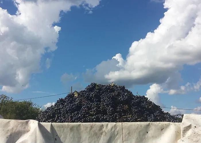 Le Due Cascine San Marzano Oliveto