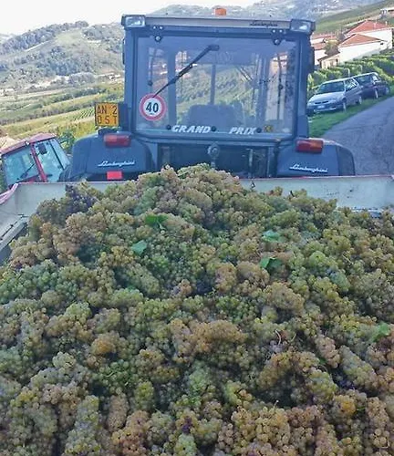 Le Due Cascine Κατάλυμα σε φάρμα San Marzano Oliveto