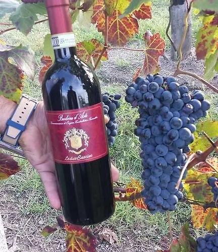 Κατάλυμα σε φάρμα Le Due Cascine *