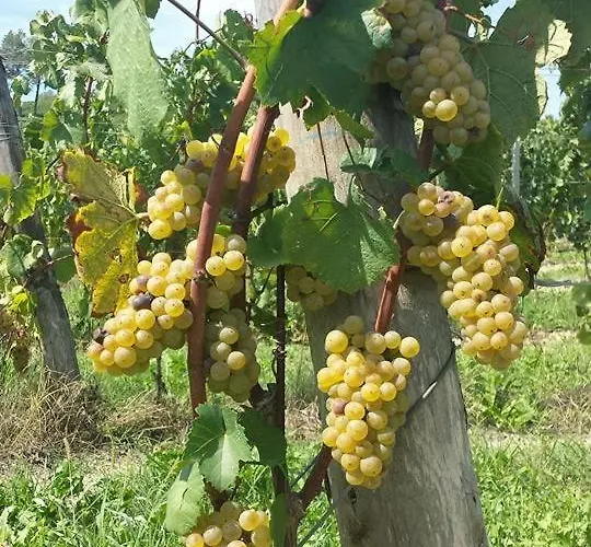 Agriturismo Le Due Cascine *